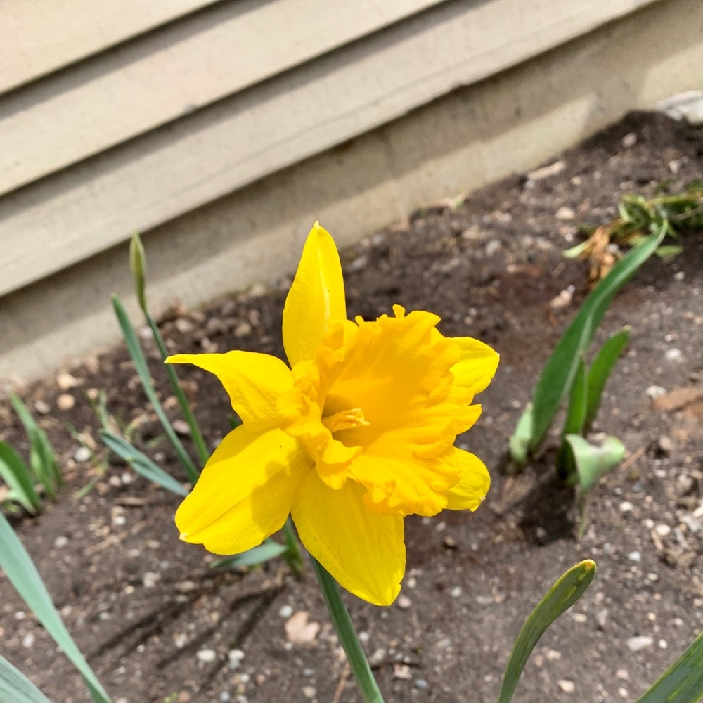 Meet your Posher, Hanna